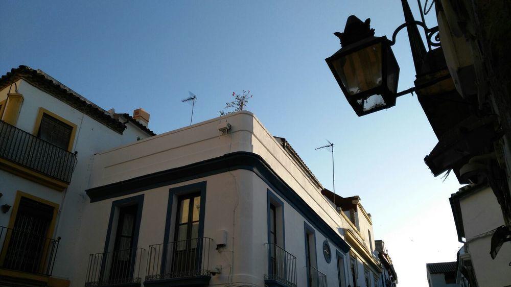 Hostal Azahar Córdoba Eksteriør billede